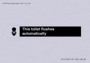 This toilet flushes automatically